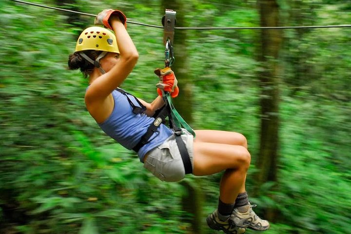 Canopy
